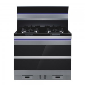 麗江集成灶環(huán)保與節(jié)能科技開(kāi)發(fā) 引領(lǐng)綠色廚房新潮流